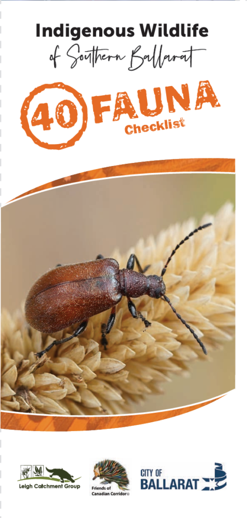 40 Fauna Checklist cover
