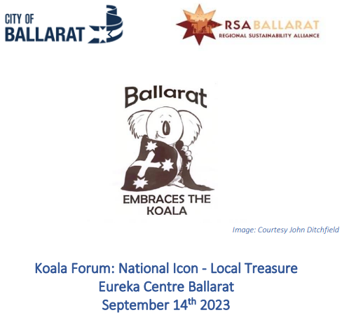 Koala Story Brochure cover