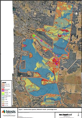 Phytophthora report cover
