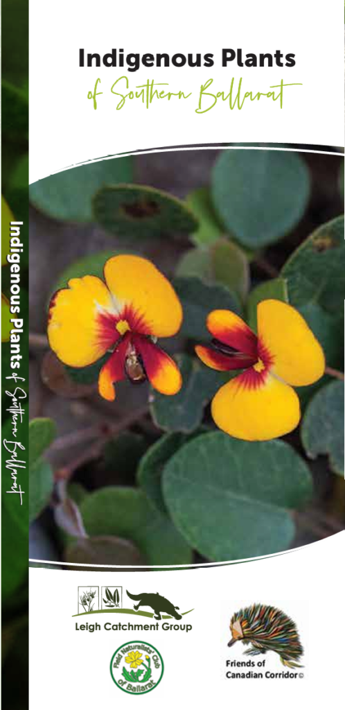 Indigenous Plants cover