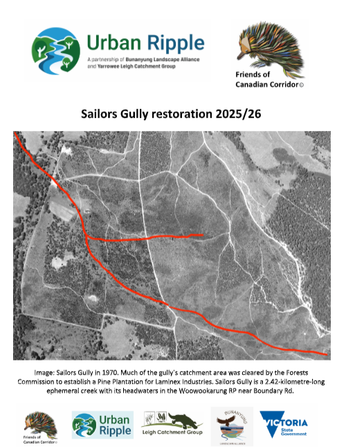 Sailor's Gully Brochure cover