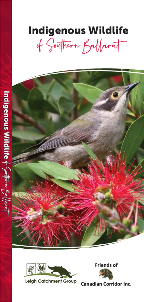 Indigenous Wildlife cover