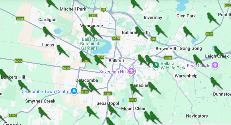 Bird Count Map