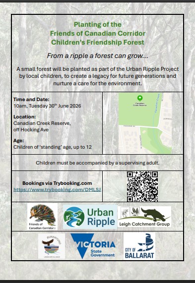 Children's Forest Planting Poster