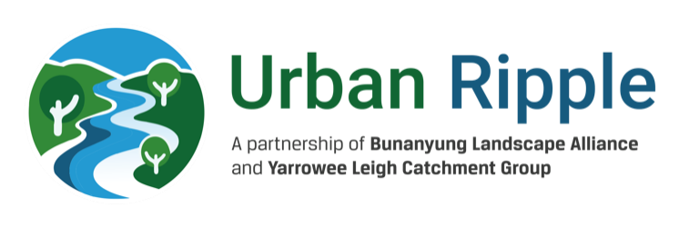 Urban Ripple Logo
